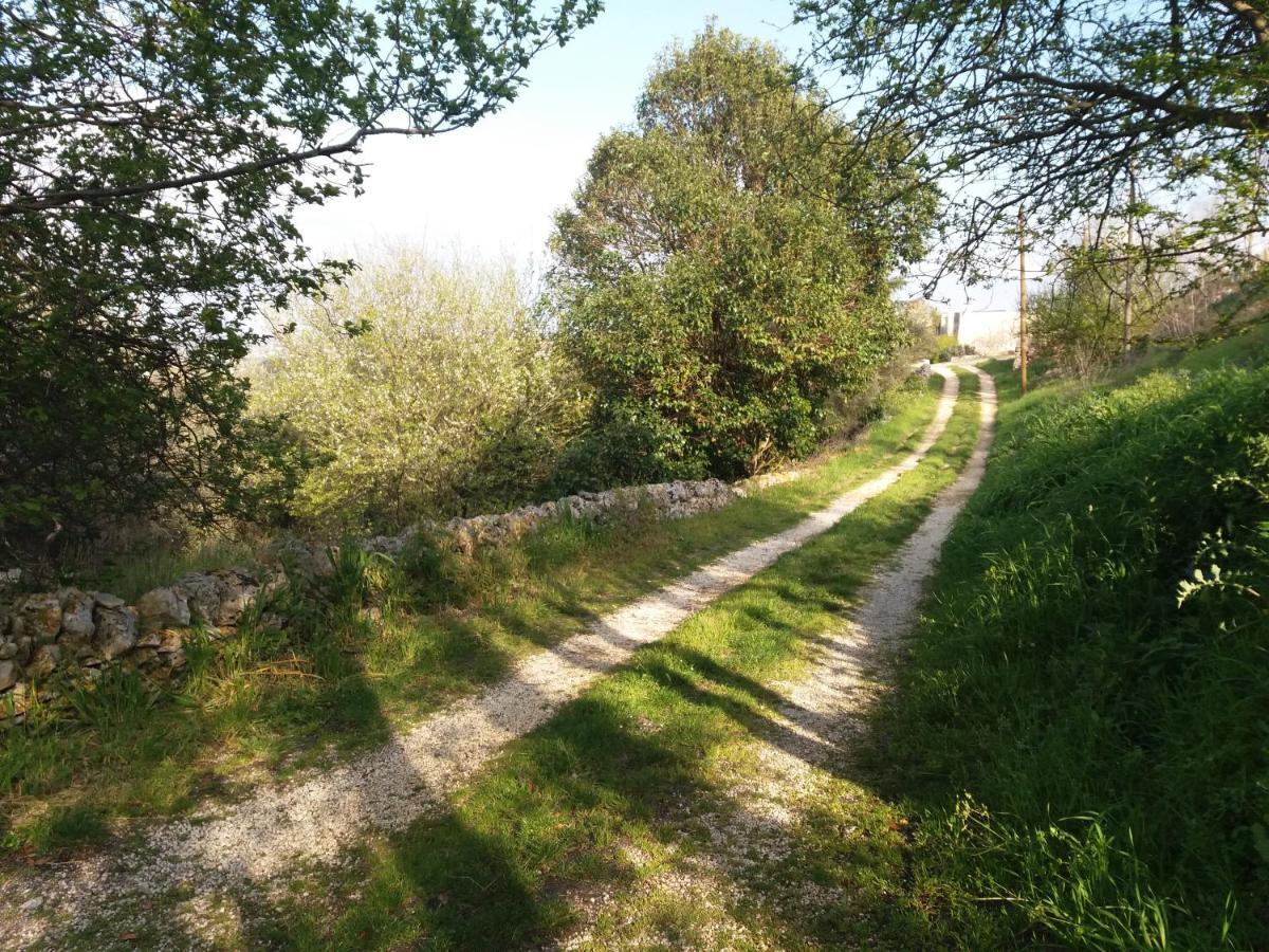 Trulli Di Puglia - Casa Vacanze In Valle D'Itria มาร์ตินาฟรังกา ภายนอก รูปภาพ